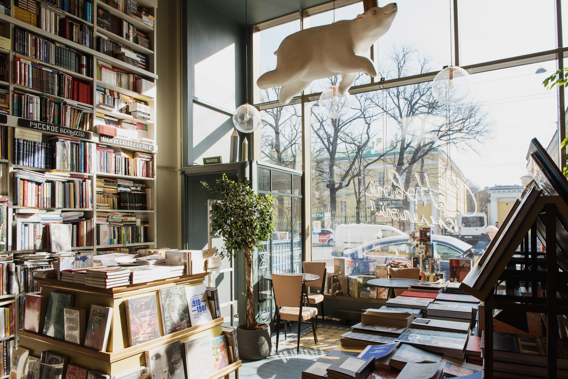 Modern style interior of bookstore in sunlight
